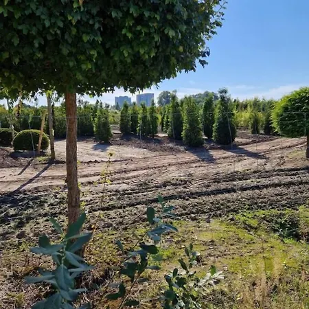 Hotel Thesdorfer Hof